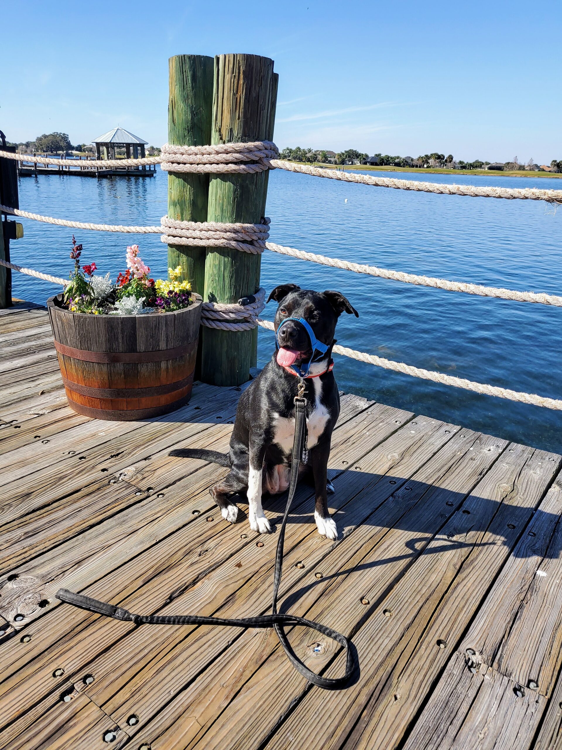 Training at the lake