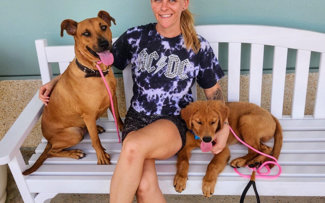 How-To Select Trusted Dog Boarding Providers Near The Villages