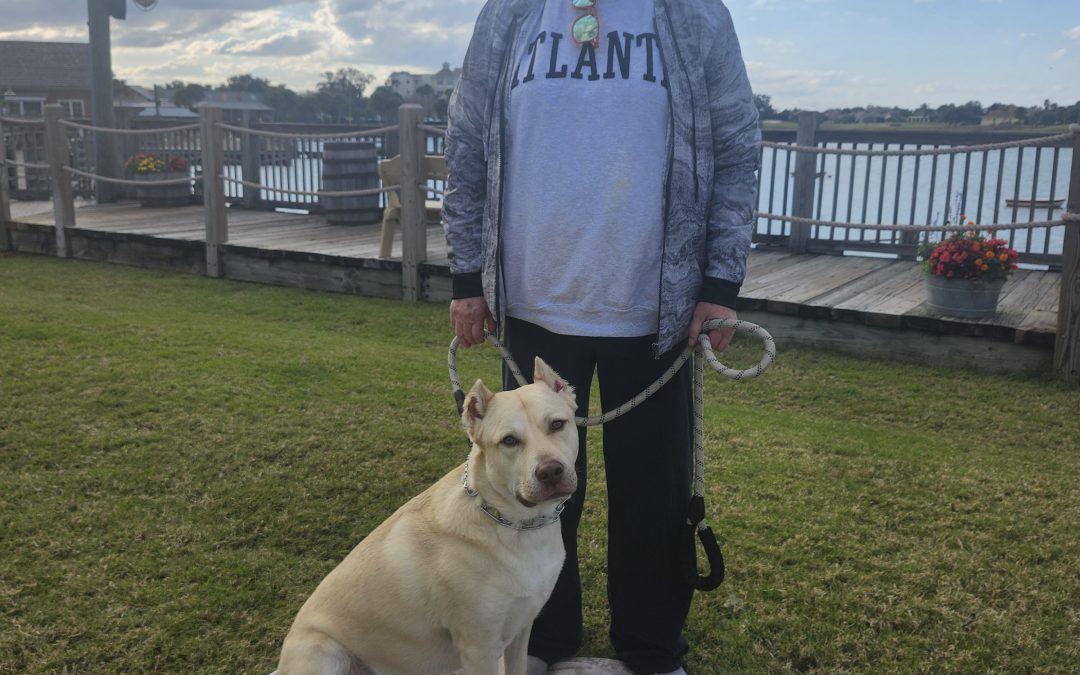 8 Positive Steps To Help Reactive Dogs Build Trust And Focus