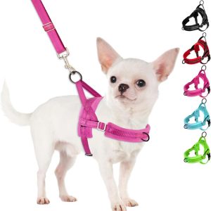 SlowTon No Pull Small Dog Harness and Leash Set (Fuchsia)