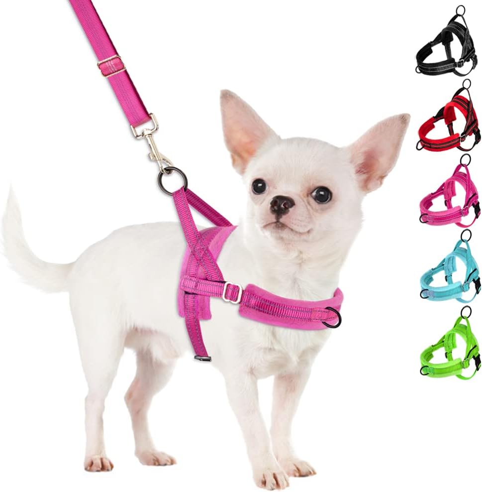 SlowTon No Pull Small Dog Harness and Leash Set (Fuchsia)