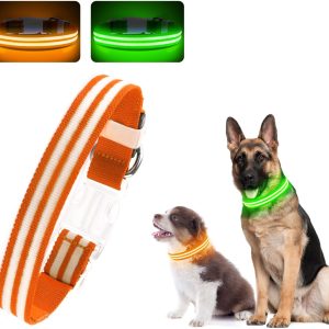 LED Light Up Dog Collar (USB Rechargeable - Orange)