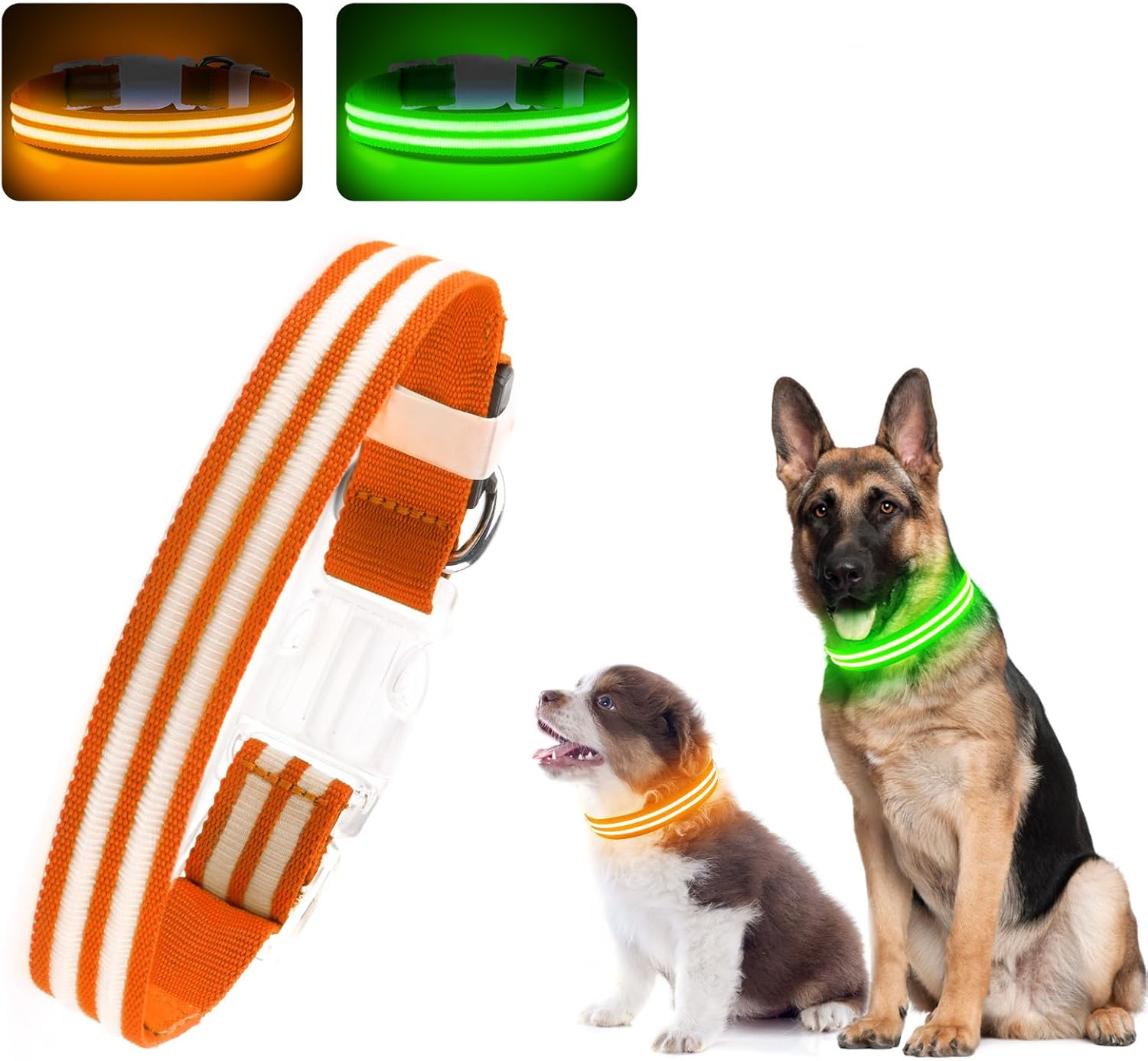 LED Light Up Dog Collar (USB Rechargeable - Orange)