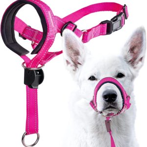 GoodBoy Dog Head Halter with Safety Strap (Pink)