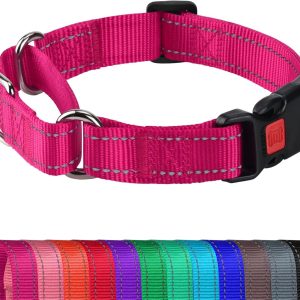Joytale Martingale Collar for Dogs (Hotpink)