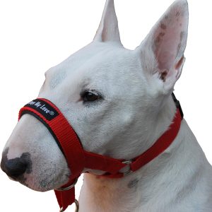 Dog Head Collar Halter Red 6 Sizes (M: 8.25-10.25 inch Snout)