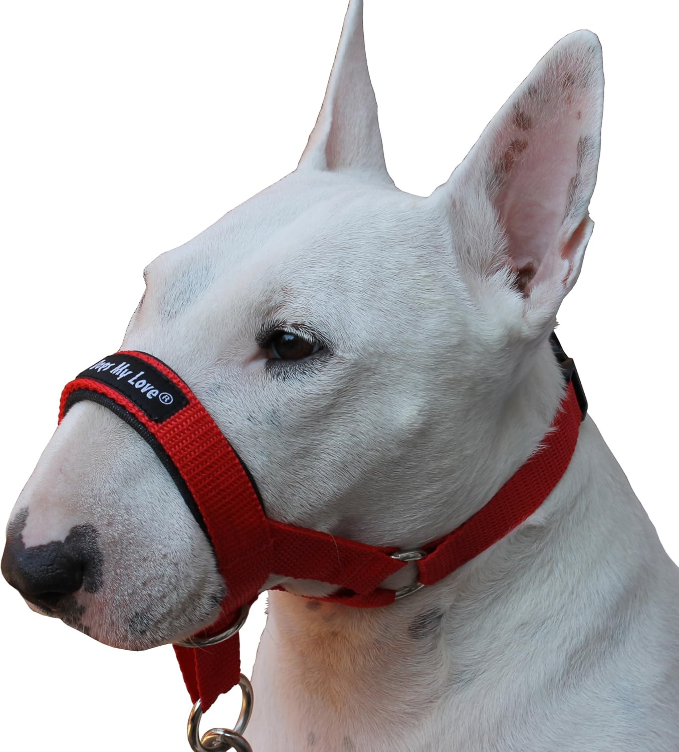 Dog Head Collar Halter Red 6 Sizes (M: 8.25-10.25 inch Snout)